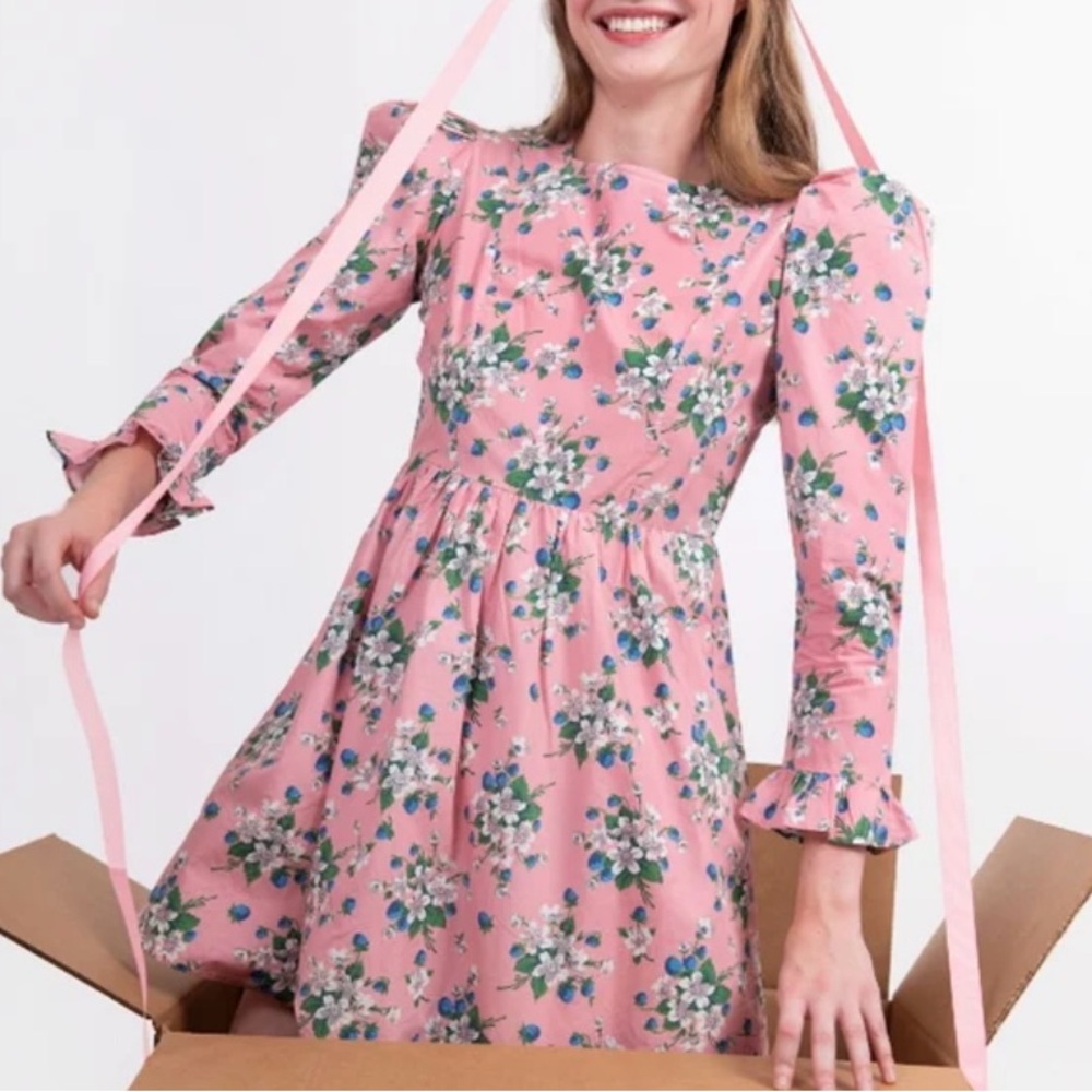 Batsheva Collarless Mini Prairie Dress Pink Lily Size 2 XS Floral Puff Shoulder
